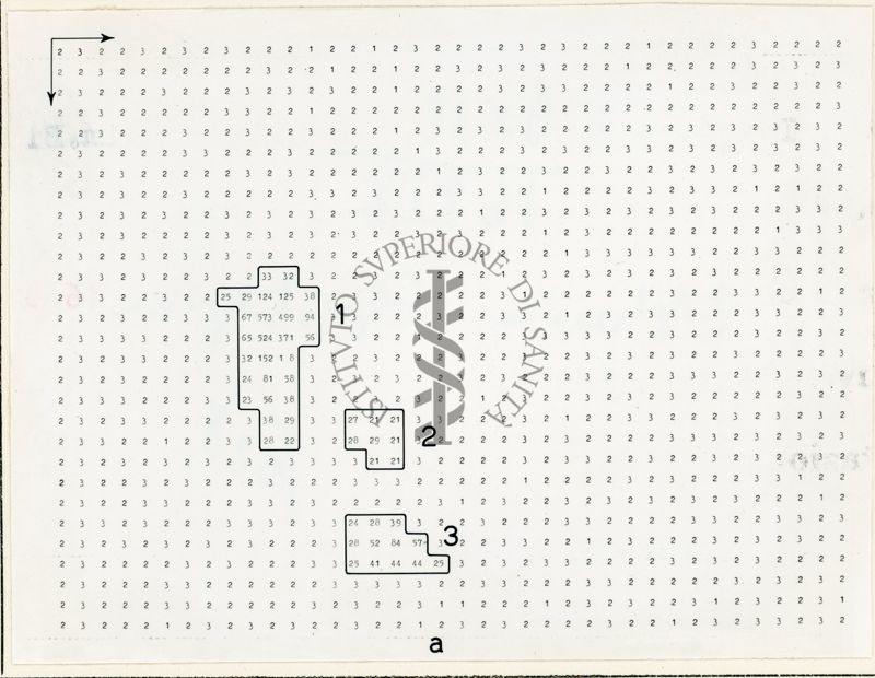 Mappe numeriche di radiocromatogrammi