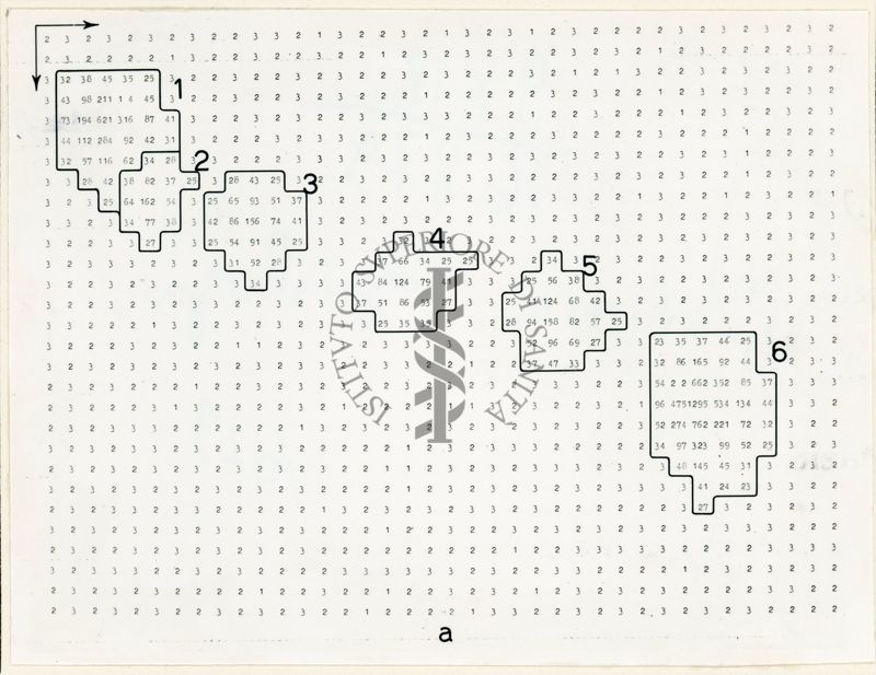 Mappe numeriche di radiocromatogrammi