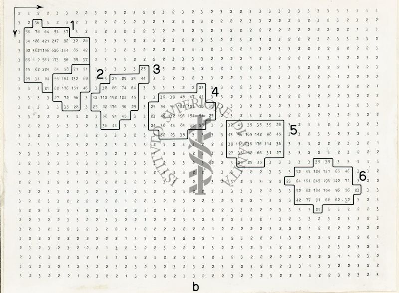 Mappe numeriche di radiocromatogrammi