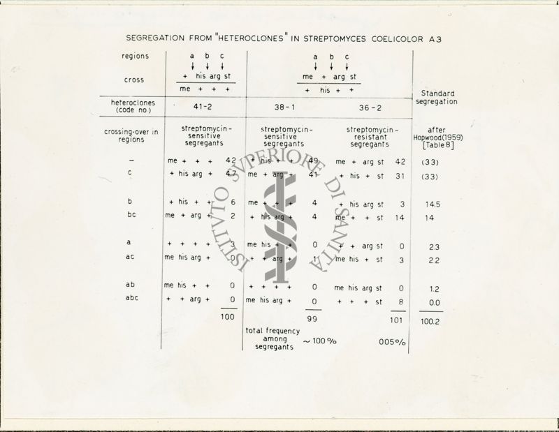 Genetica dello Streptomyces - tabella