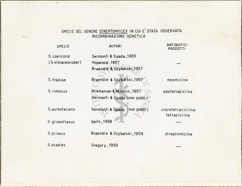 Genetica dello Streptomyces - tabella