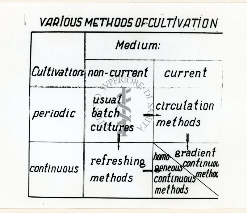 Metodi di coltura continua usati in vari processi di produzione - tabella
