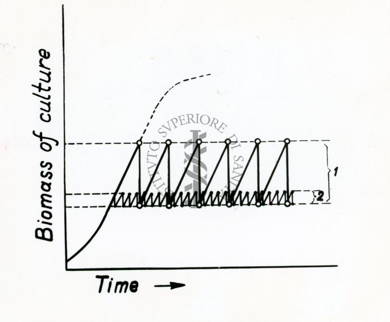Metodi di coltura continua usati in vari processi di produzione - grafico
