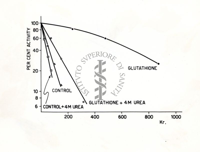 Grafico riguardante il glutatione