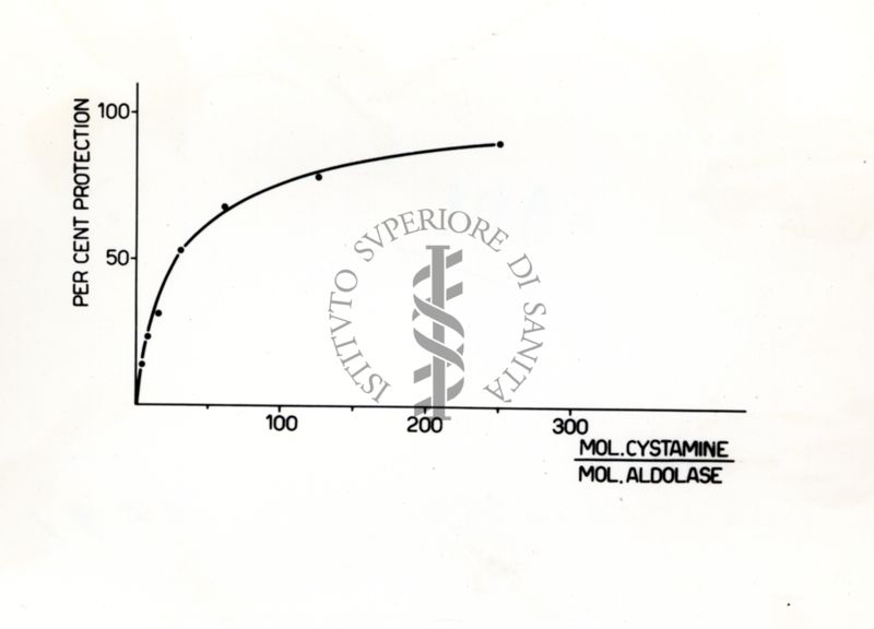 Grafico - asse delle ascisse: mol. cystamine / mol. aldolase; asse delle ordinate: per cent protection