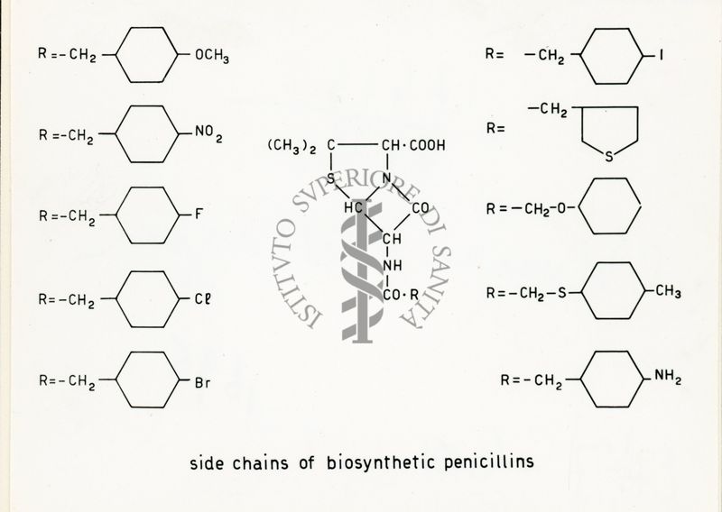 Nella foto formula della Penicillina