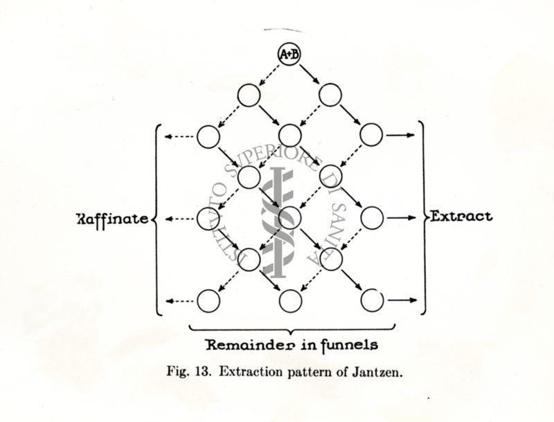 Fig. 13 Modello di estrazione di Jantzen