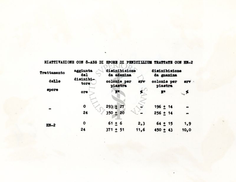 Riattivazione con 8-AZG di spore di penicillium con HN-2