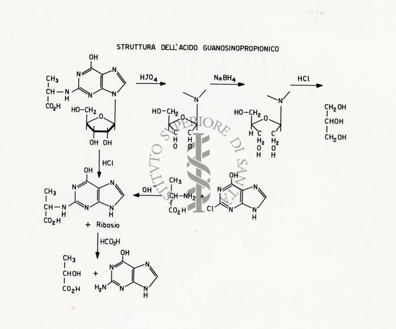 da disegno struttura dell'acido Guanosinopropionico
