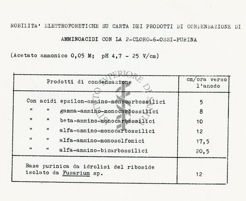 Da dattilografia Mobilità cromatografiche su carta dei prodotti di condensazione di Amminoacidi con la 2 - Cloro - 6 - Ossipurina