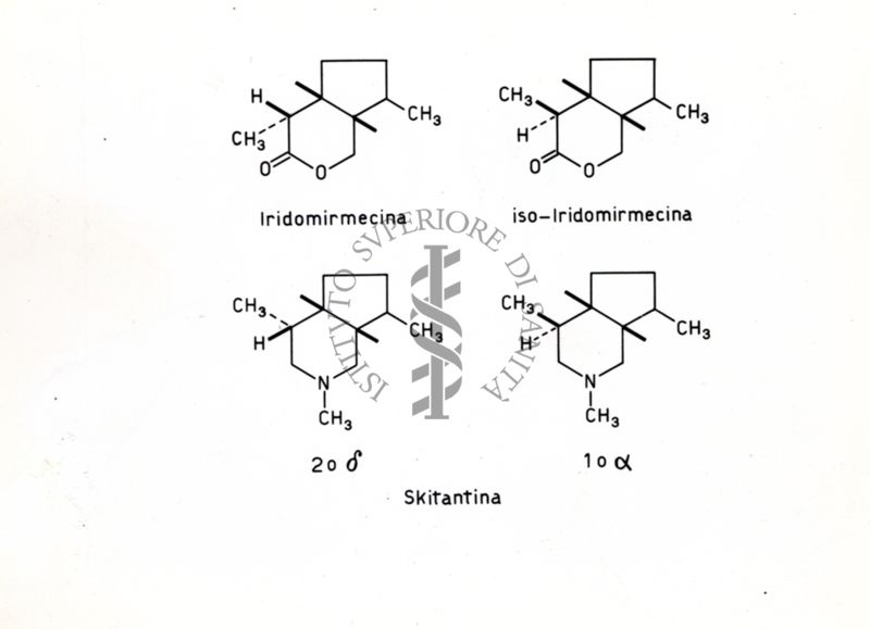 Formule di struttura della Iridomirmecina, della Iso-iridomirmecina e della Skitantina