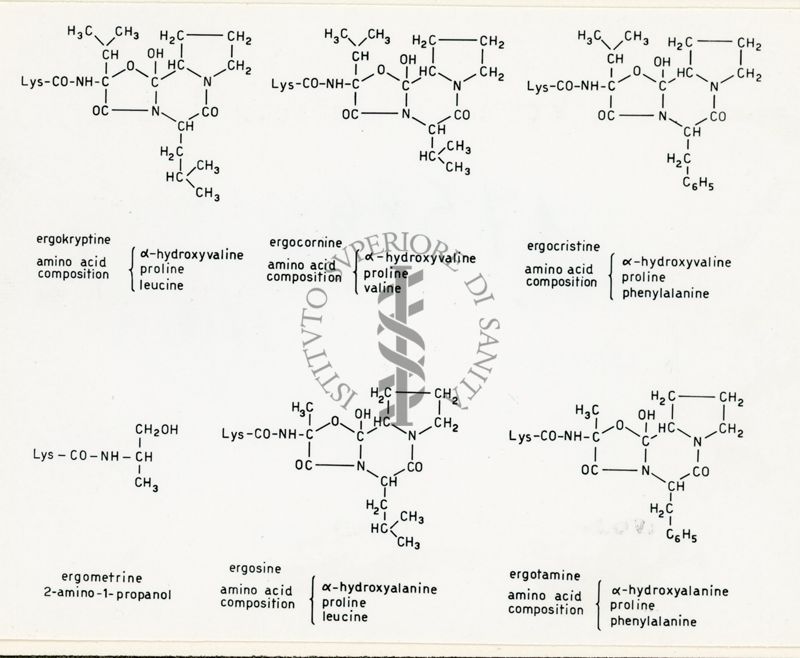 Derivati dell'Acido lisergico