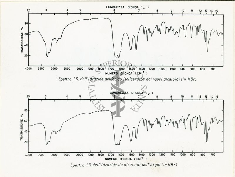 Spettro I.R. dell' idrazione dell'acido sigergico
