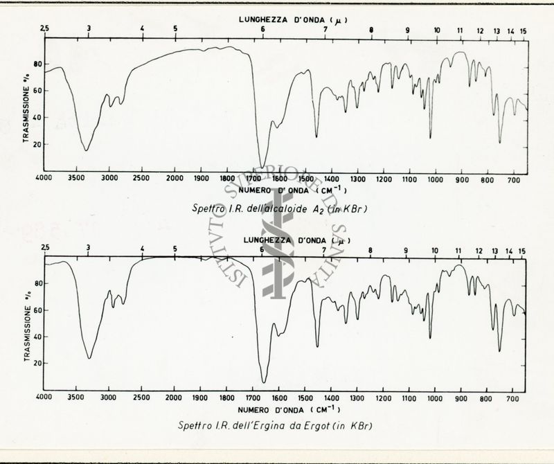 Spettro I.R. dell'alcaloide A2 e dell'ergina dell'ergot