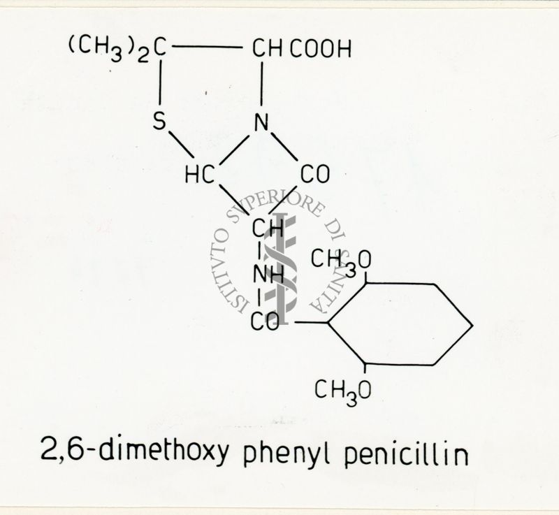 2.6 dimidossi fenil penicillina