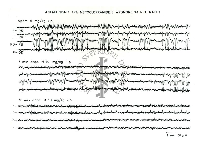 Grafico