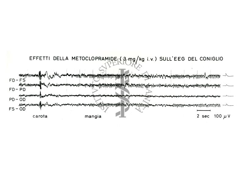 Grafico