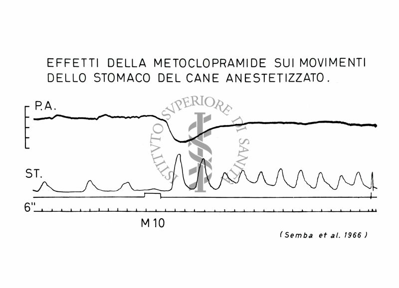 Grafico