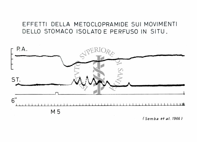 Grafico