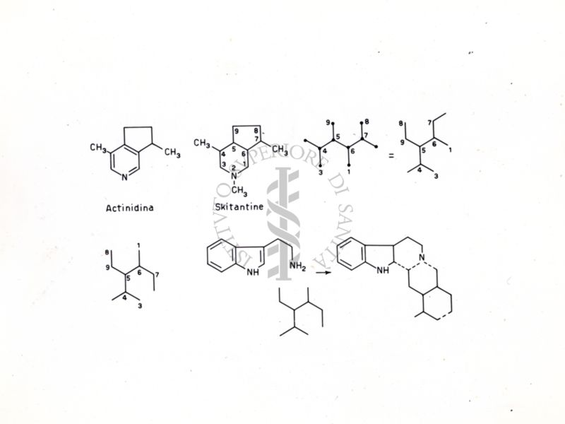 Formule di struttura varie e formule di struttura di Actinidina e Skitantina