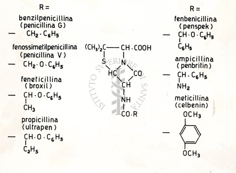 Formule chimiche e formule di struttura di benzilpenicillina (penicillina G), fenossimetilpenicillina (penicillina V), feneticillina (broxil), propicillina (ultrapen), fenbenicillina (penspek), ampicillina (penbritin) e meticillina (celbenin)