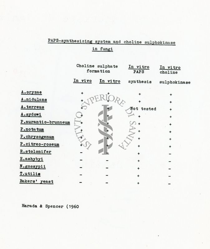 Presenza di sulfochinosi nei funghi