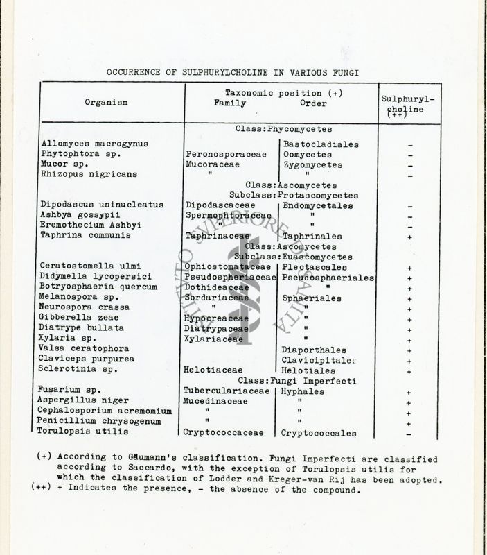 Distribuzione di sulfochinosi nei funghi