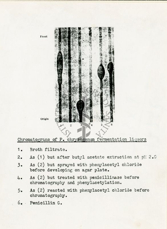 Cromatografia di penicillina