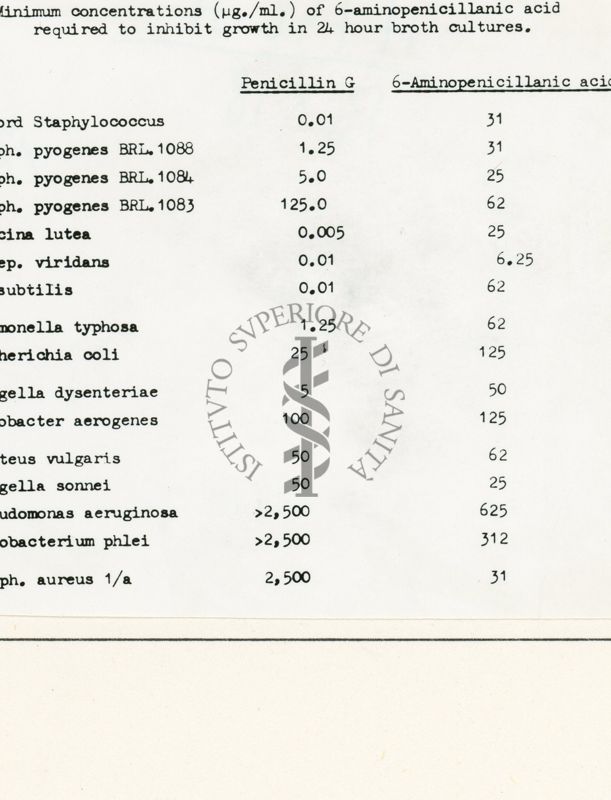 Concentrazioni minime di 6-APA richieste per inibire la crescita in colture di 24 ore