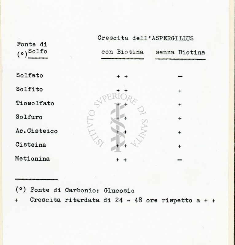 Richiesta di biotina in Streptomyces