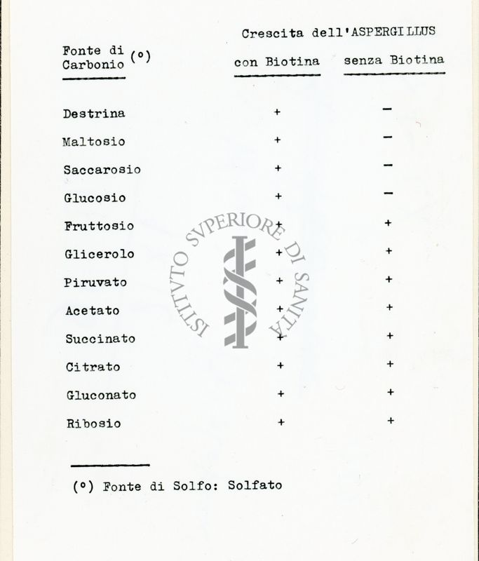 Richiesta di biotina in Streptomyces