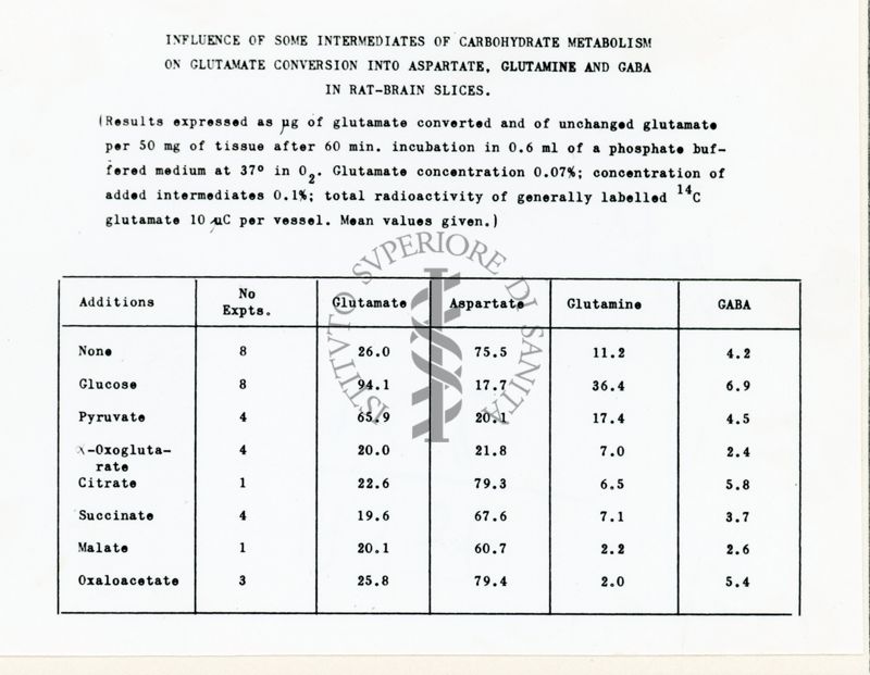 Metabolismo degli ammine acidi in fettine di cervello di ratto