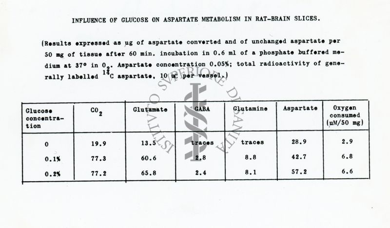 Metabolismo degli ammine acidi in fettine di cervello di ratto