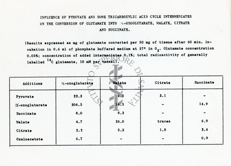 Metabolismo degli ammine acidi in fettine di cervello di ratto