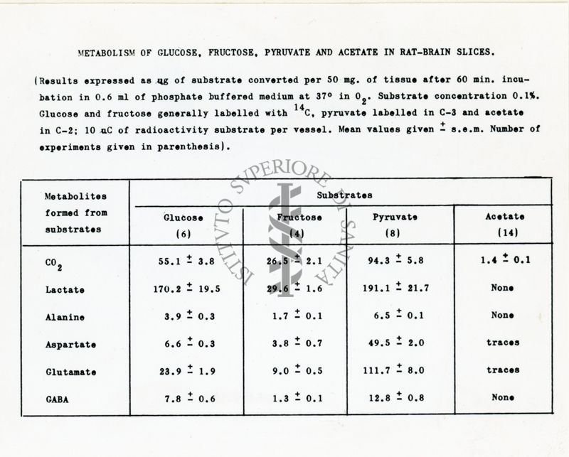 Metabolismo degli ammine acidi in fettine di cervello di ratto