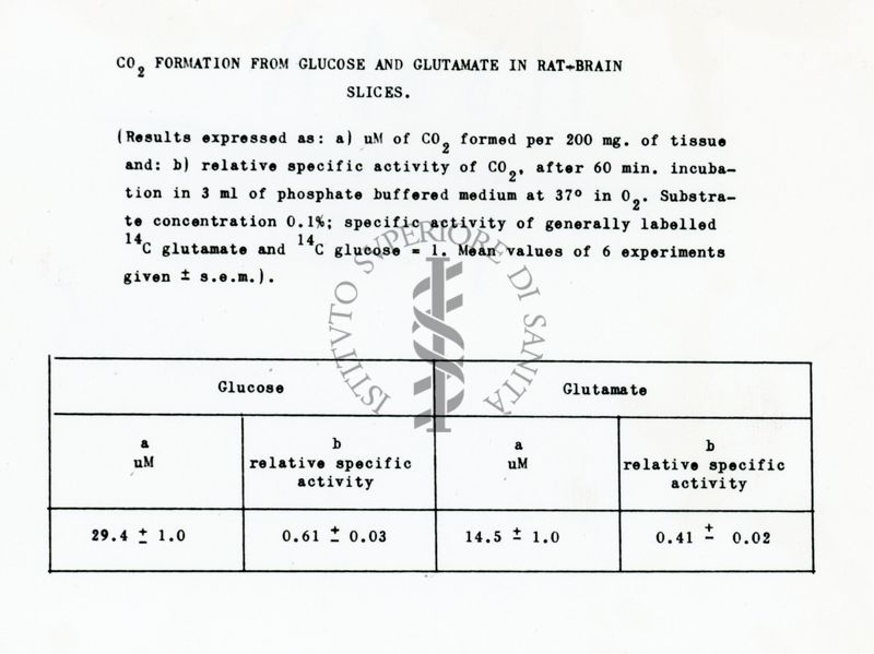 Metabolismo degli ammine acidi in fettine di cervello di ratto