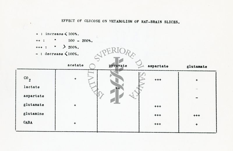 Metabolismo degli ammine acidi in fettine di cervello di ratto