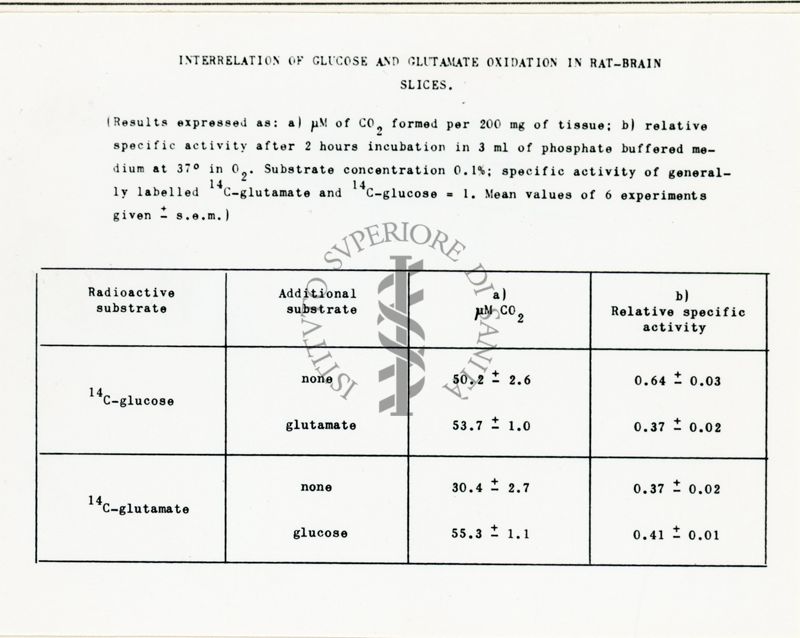 Metabolismo degli ammine acidi in fettine di cervello di ratto