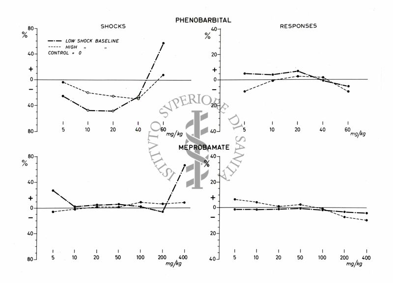 Grafico