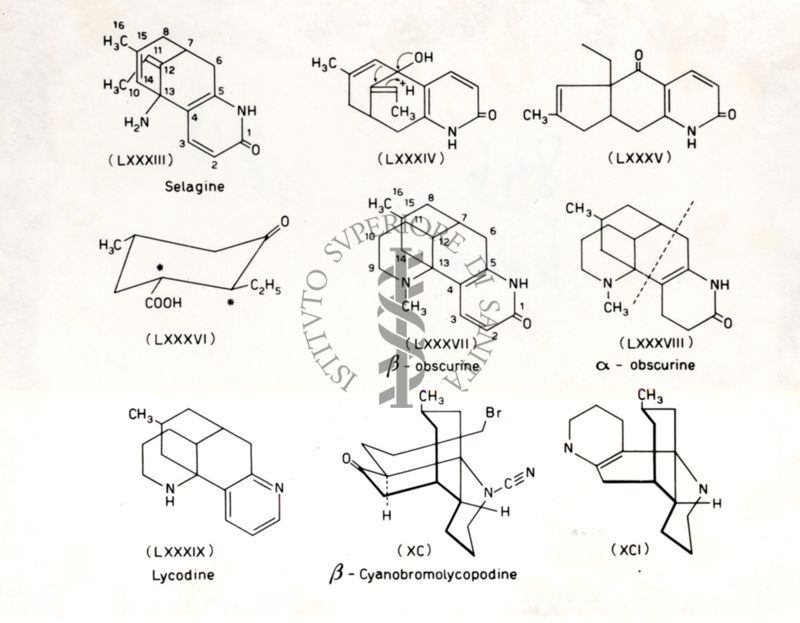 Alcaloidi Lycopodim