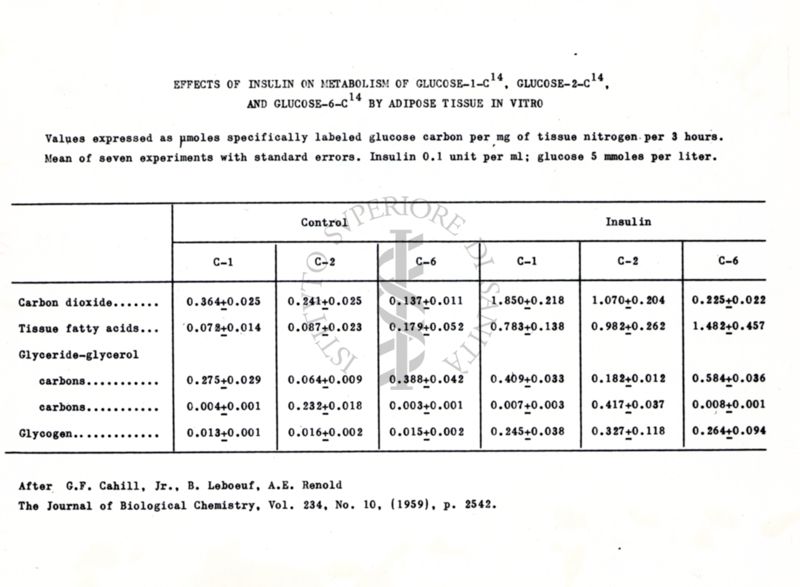 Modo di azione dell'Insulina