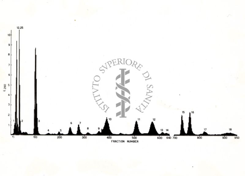 Nucleotidi TIDI per coniti di Penicillium Chrysogenum