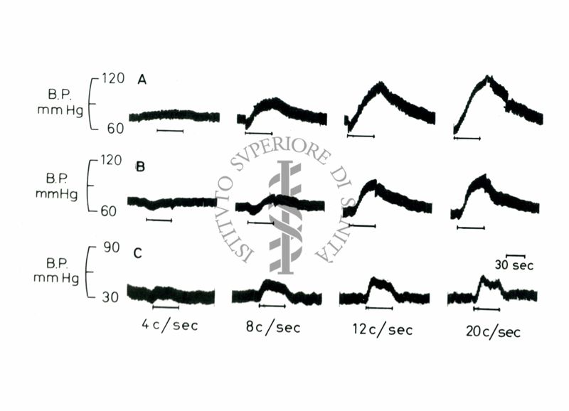 Grafico