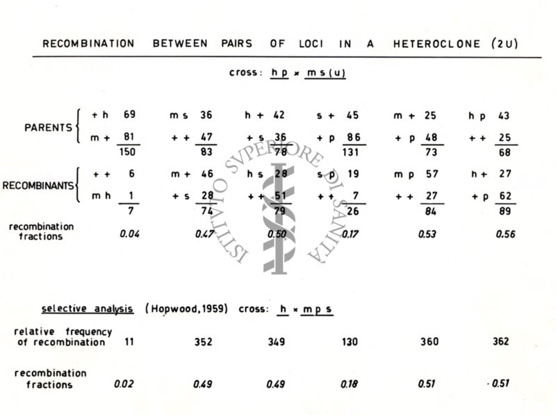 Da disegno Ricombinazione genetica in Streptomyces