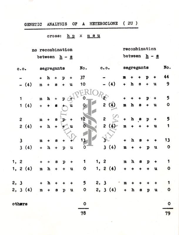 Da disegno Ricombinazione genetica in Streptomyces