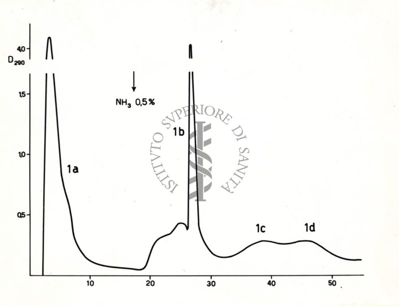 Cromatogramma di S. Parafolia