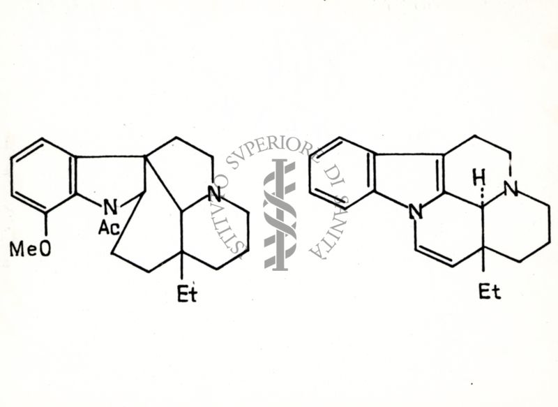 Riproduzione