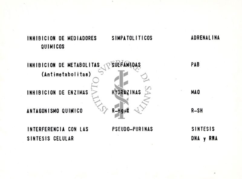 Riproduzione