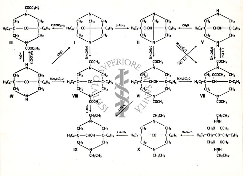 Riproduzione