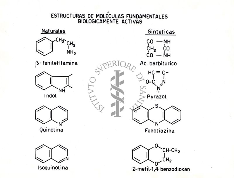 Riproduzione